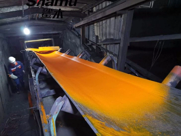 Coal Mine Conveyor Belt Protection